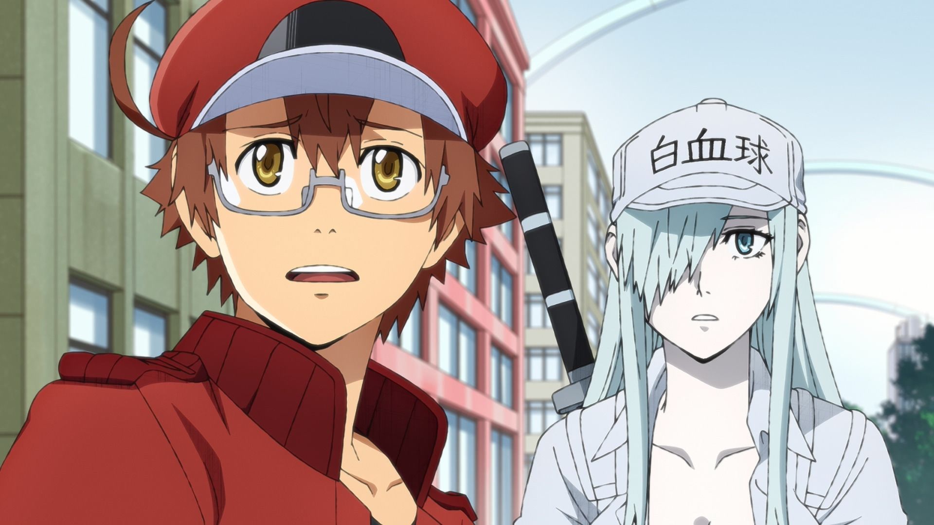 Cells at Work! CODE BLACK ตอน 13｜อนิเมะ
